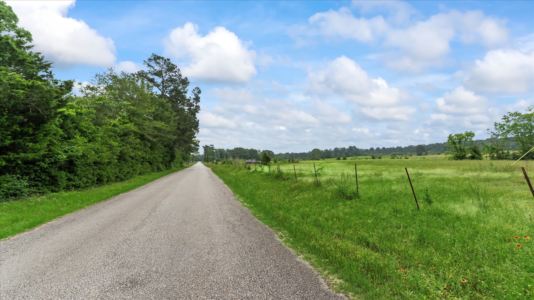2760 Stringtown Road Shepherd, TX 77371 - Photo 7 of 46 a view of a garden and mountains