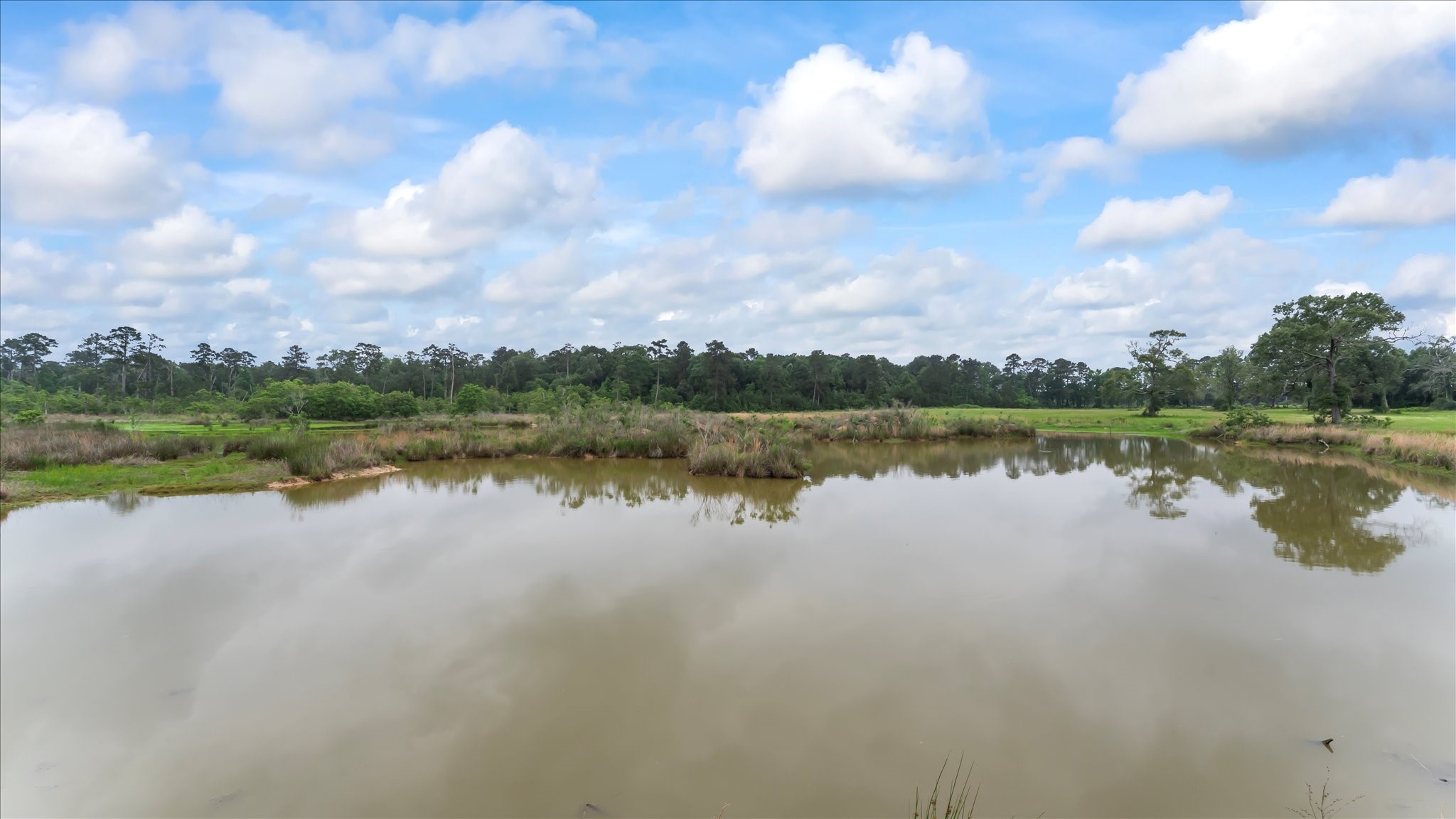 2760 Stringtown Road Shepherd, TX 77371 - Photo 10 of 46 a view of a lake with houses in the back