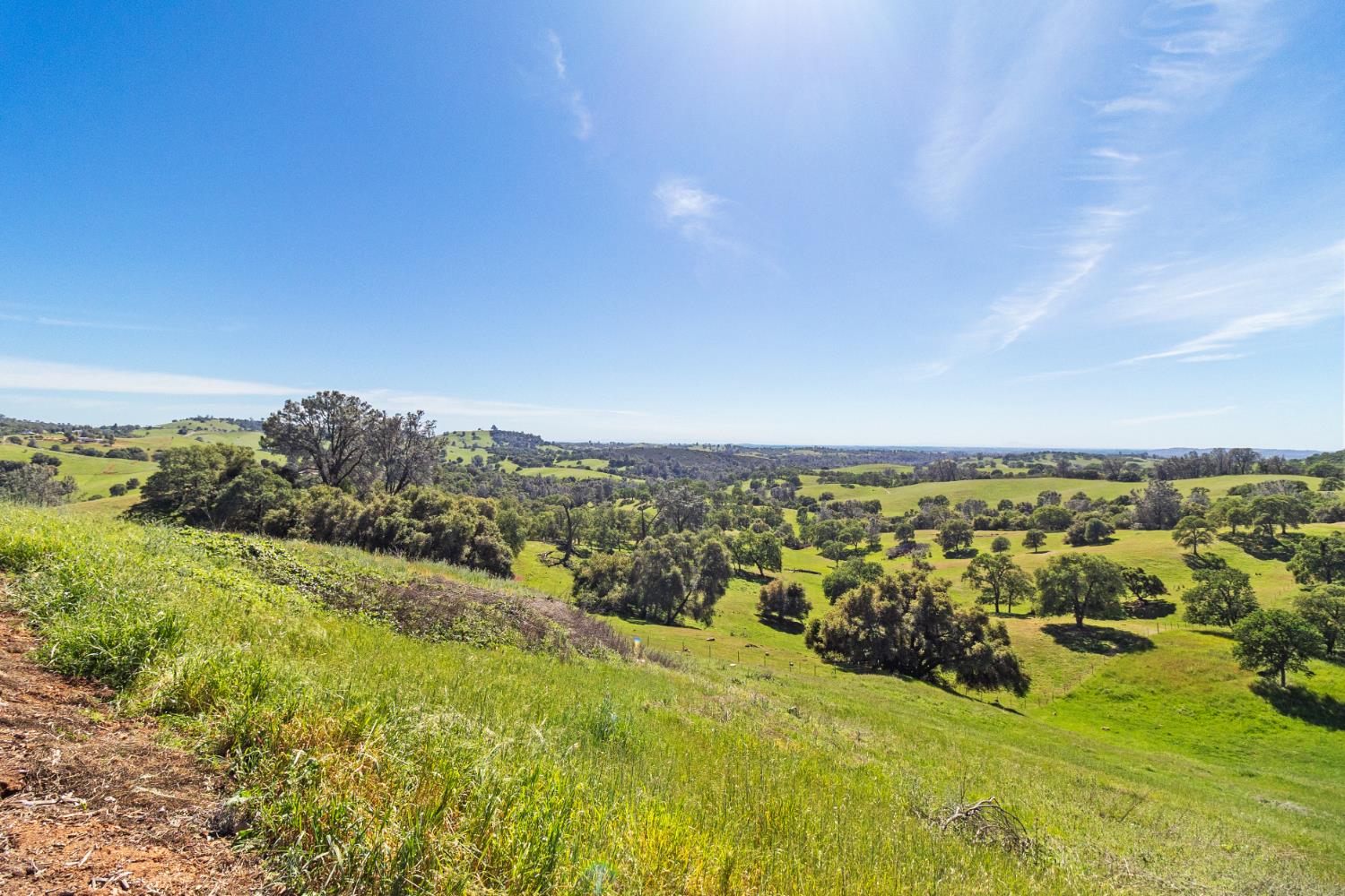 11015 Vintage Road Ione, CA 95640 - Photo 69 of 99