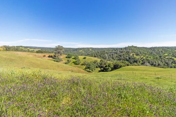$2,395,000 | 11015 Vintage Road, Ione, CA 95640