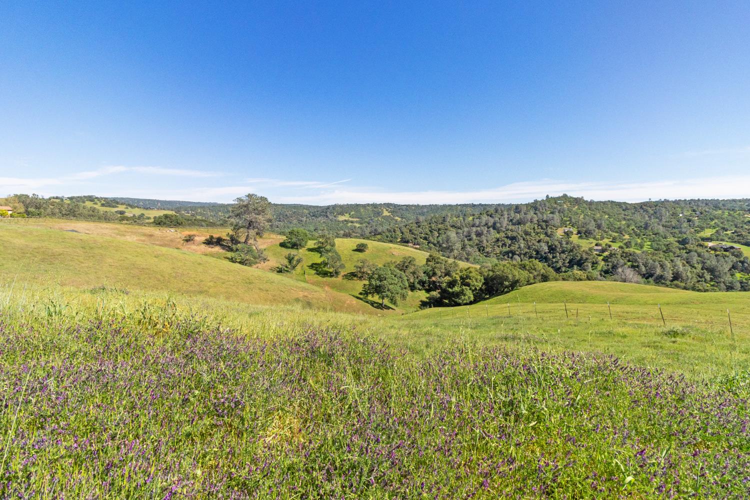 11015 Vintage Road Ione, CA 95640 - Photo 74 of 99