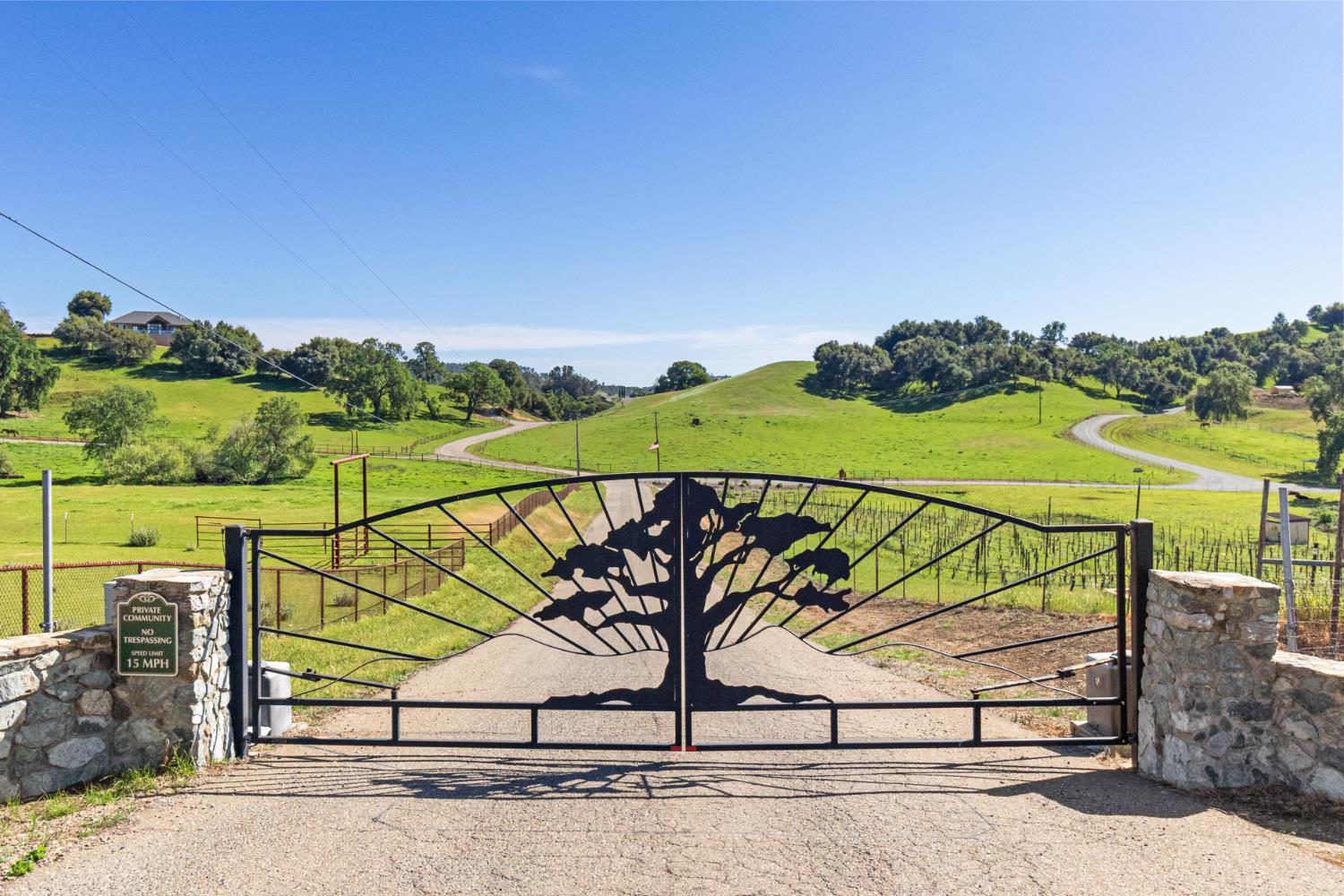 11015 Vintage Road Ione, CA 95640 - Photo 83 of 99