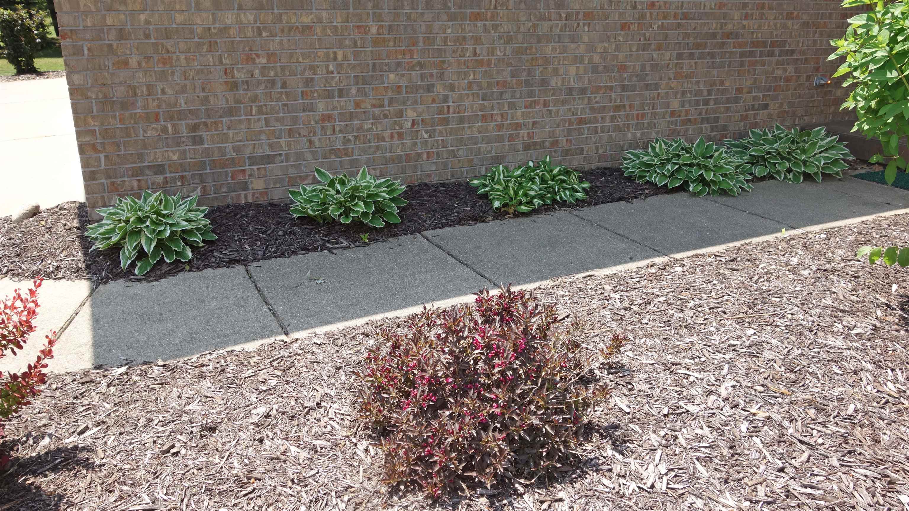17318 South Sharon Road Chesaning, MI 48616 - Photo 41 of 62 50111272-40.JPG