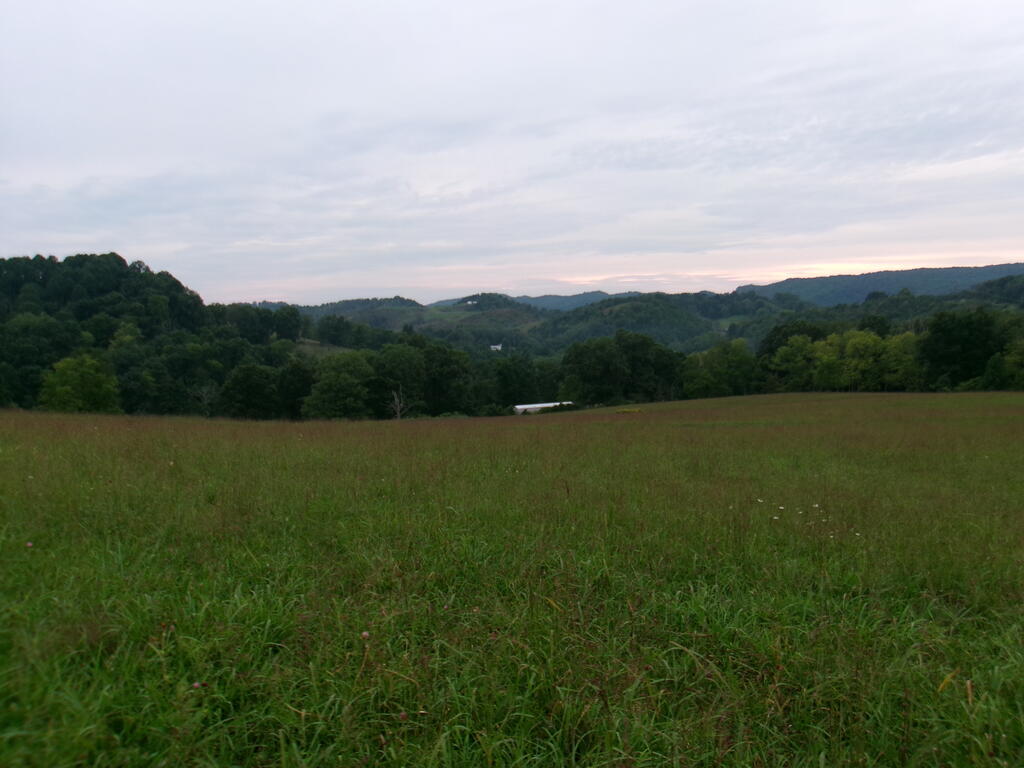 Tbd Little Acres Road North Tazewell, VA 24630 - Photo 2 of 15 Gallery Image 2