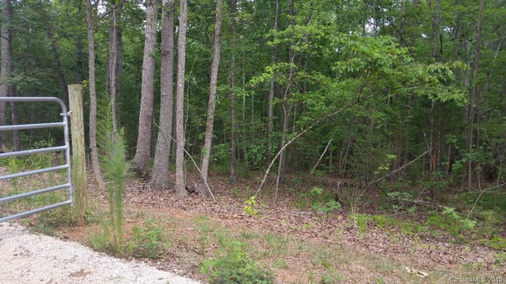 6198 Little Mountain Road Clover, SC 29710 - Photo 12 of 16 Gallery Image 12
