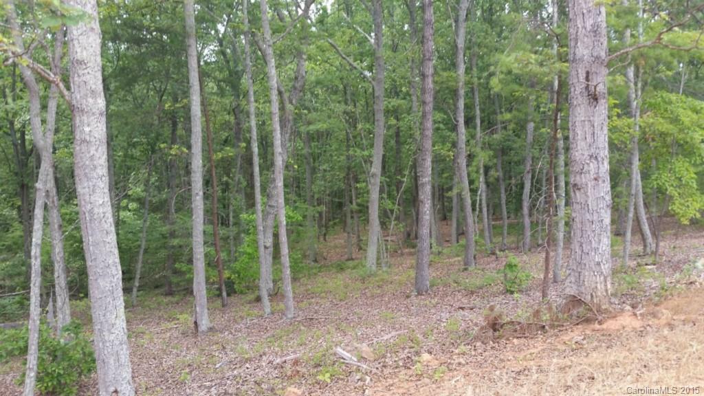 6198 Little Mountain Road Clover, SC 29710 - Photo 3 of 16 Gallery Image 3