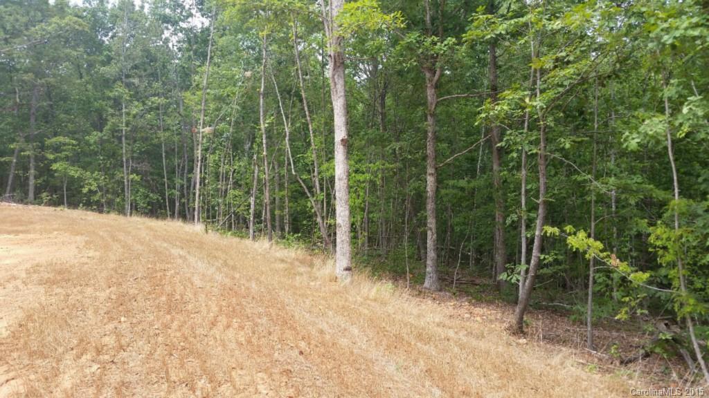 6198 Little Mountain Road Clover, SC 29710 - Photo 5 of 16 Gallery Image 5