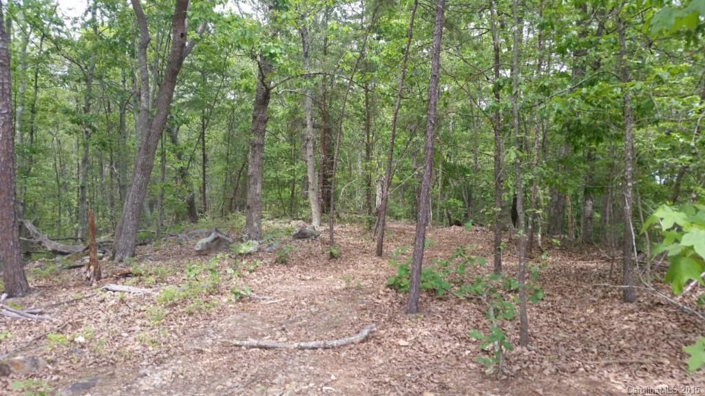 6198 Little Mountain Road Clover, SC 29710 - Photo 6 of 16 Gallery Image 6