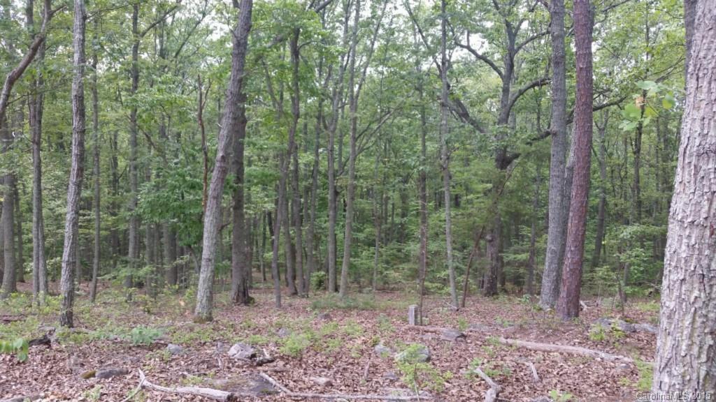 6198 Little Mountain Road Clover, SC 29710 - Photo 8 of 16 Gallery Image 8
