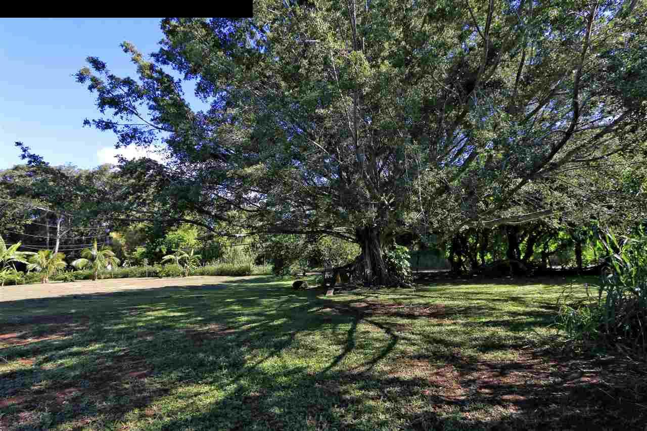 11 Kane Place Haiku, HI 96708 - Photo 26 of 30 a view of a park