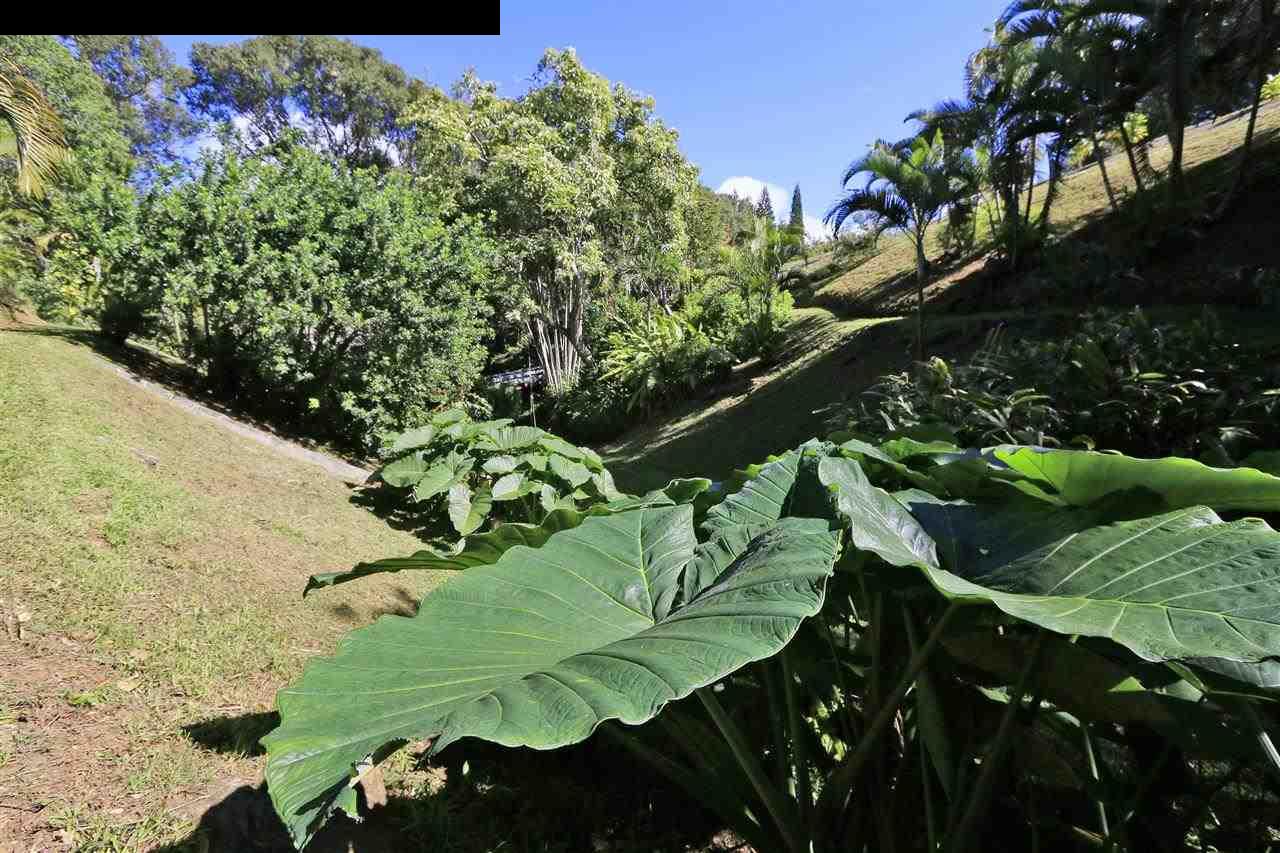 11 Kane Place Haiku, HI 96708 - Photo 27 of 30 a view of a lot of flowers and trees