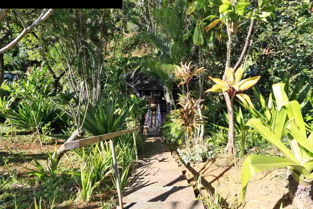 11 Kane Place Haiku, HI 96708 - Photo 28 of 30 a view of a plant in a garden