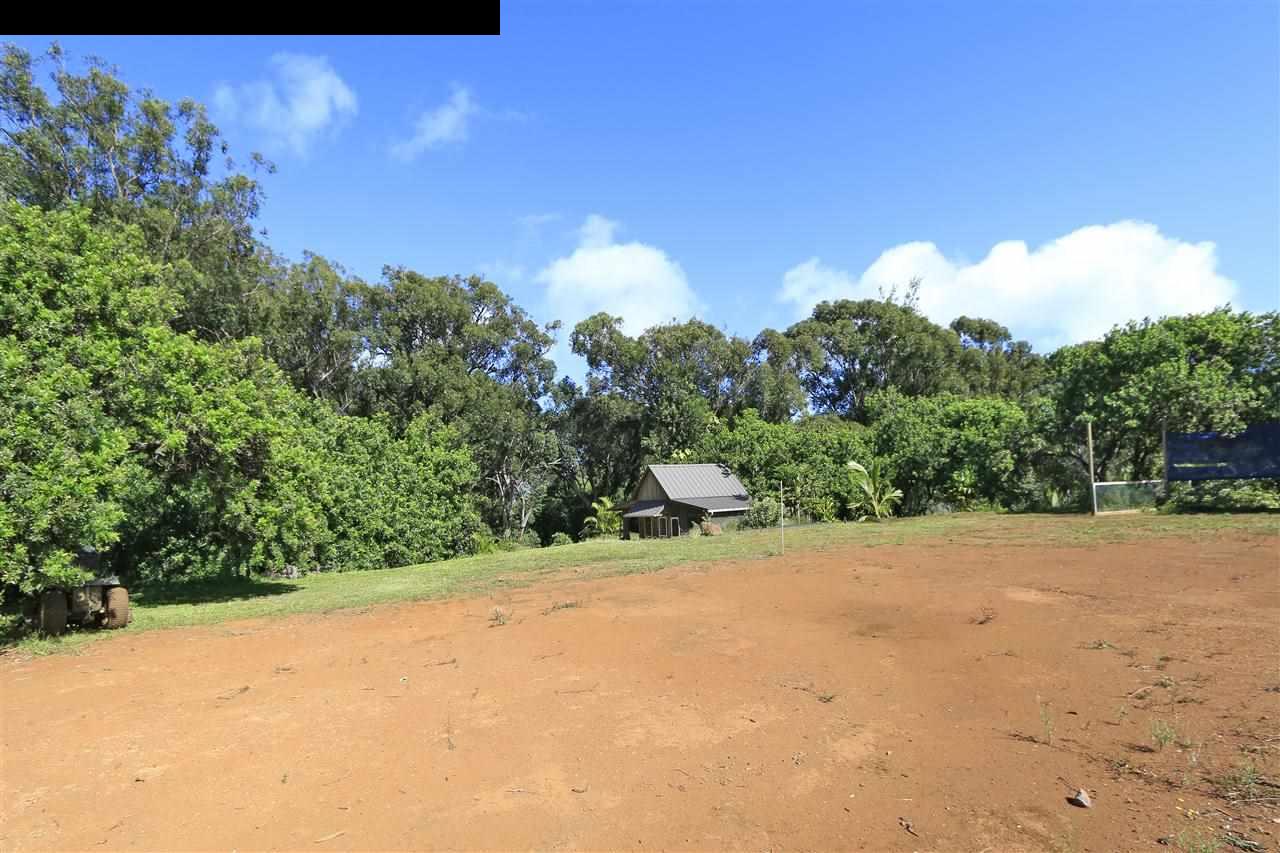11 Kane Place Haiku, HI 96708 - Photo 29 of 30 a view of a dry yard with trees in the background