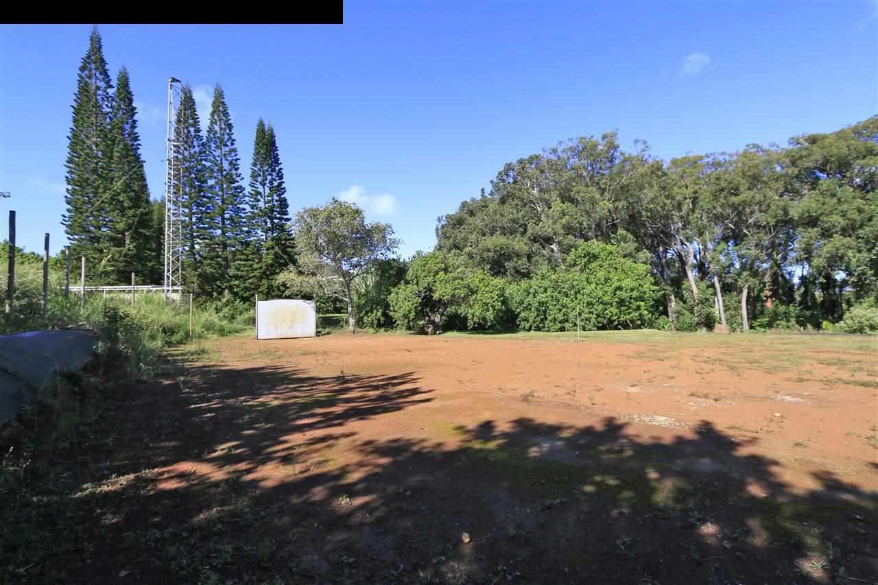 11 Kane Place Haiku, HI 96708 - Photo 30 of 30 a view of a yard with a tree