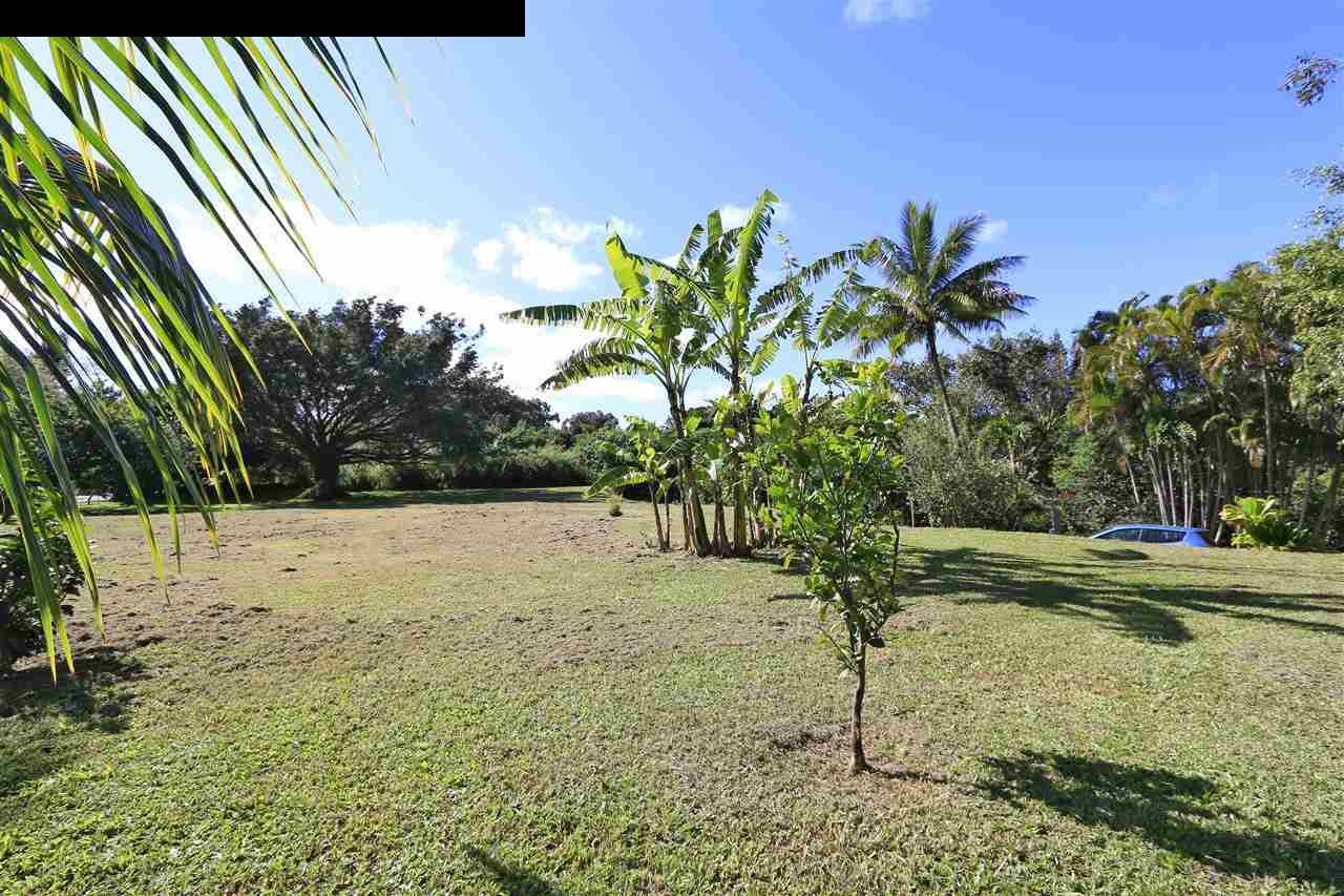 11 Kane Place Haiku, HI 96708 - Photo 8 of 30 a view of a yard with a tree