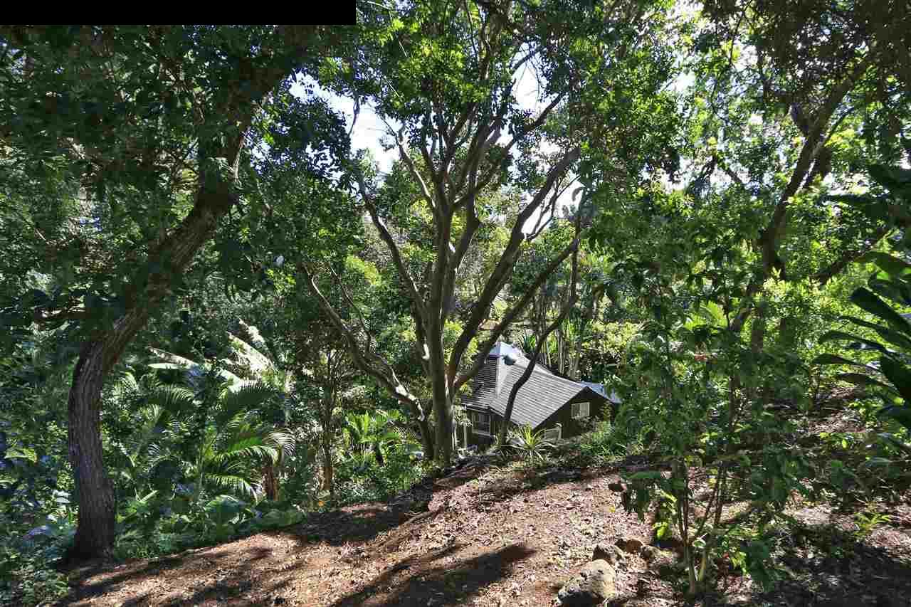 11 Kane Place Haiku, HI 96708 - Photo 10 of 30 a backyard of a house with lots of green space