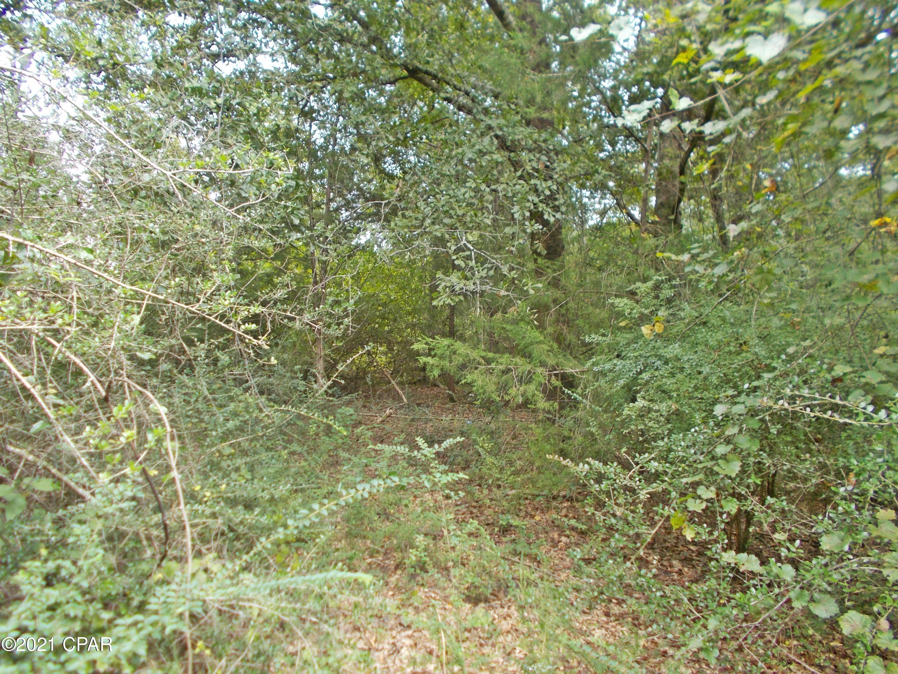0 Smokey Road Graceville, FL 32440 - Photo 2 of 5