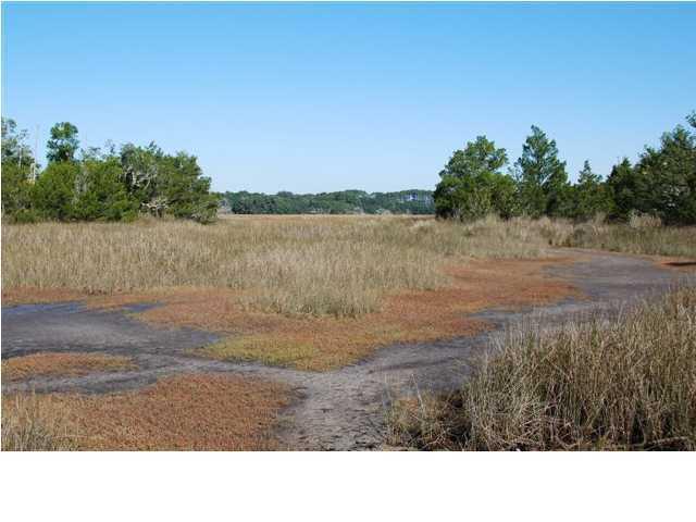 8480 Chisolm Pltn Road Edisto Island, SC 29438 - Photo 1 of 21 1