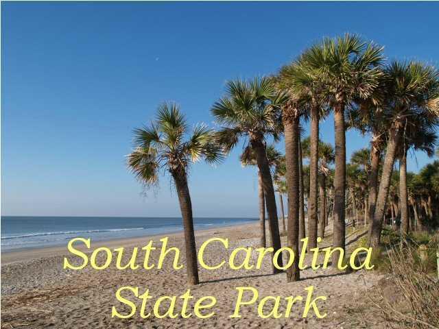 8480 Chisolm Pltn Road Edisto Island, SC 29438 - Photo 13 of 21 13