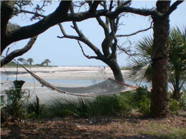 8480 Chisolm Pltn Road Edisto Island, SC 29438 - Photo 18 of 21 21