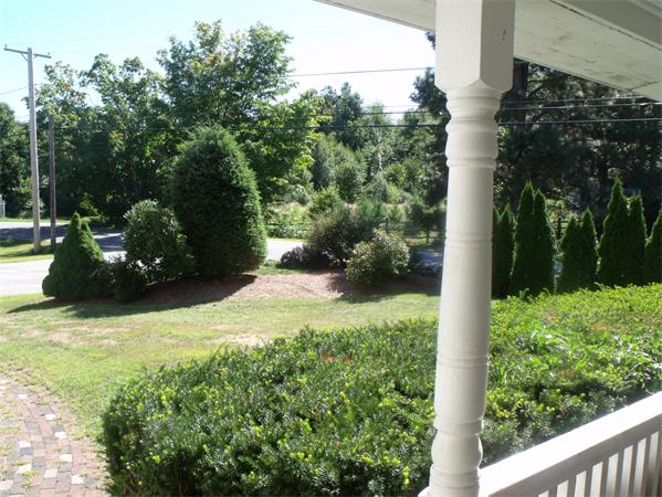307 Harvard Road Bolton, MA 01740 - Photo 5 of 26 a view of a garden with plants and large trees
