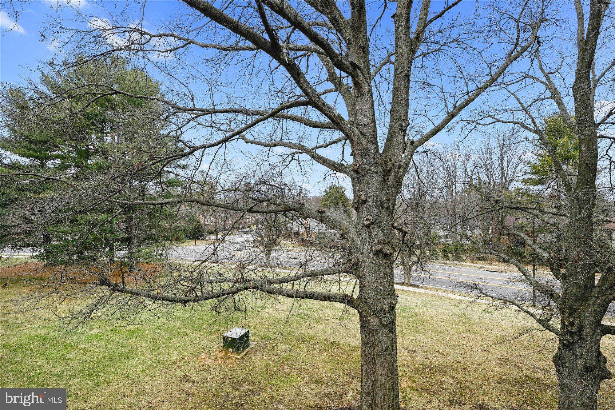 10578 Cross Fox Lane, Unit E2 Columbia, MD 21044 - Photo 5 of 28 a view of a yard