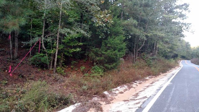 Lot 21 Zellner Road Forsyth, GA 31029 - Photo 3 of 3 a view of a yard with plants and a bench