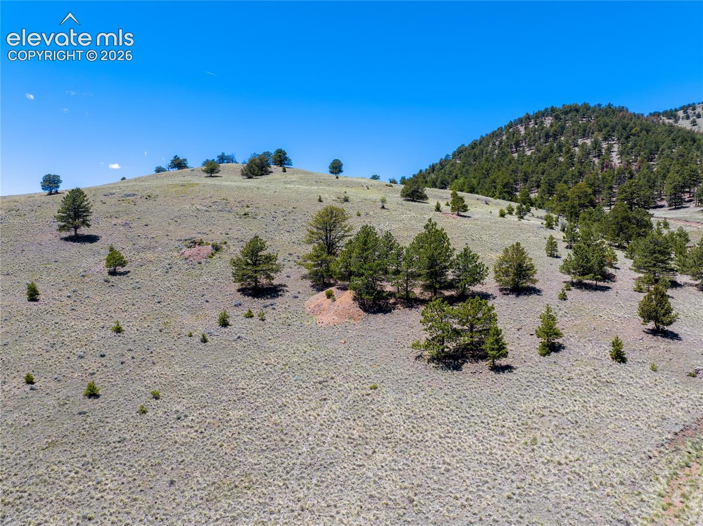 102 County Road Guffey, CO 80820 - Photo 11 of 25 Gallery Image 11