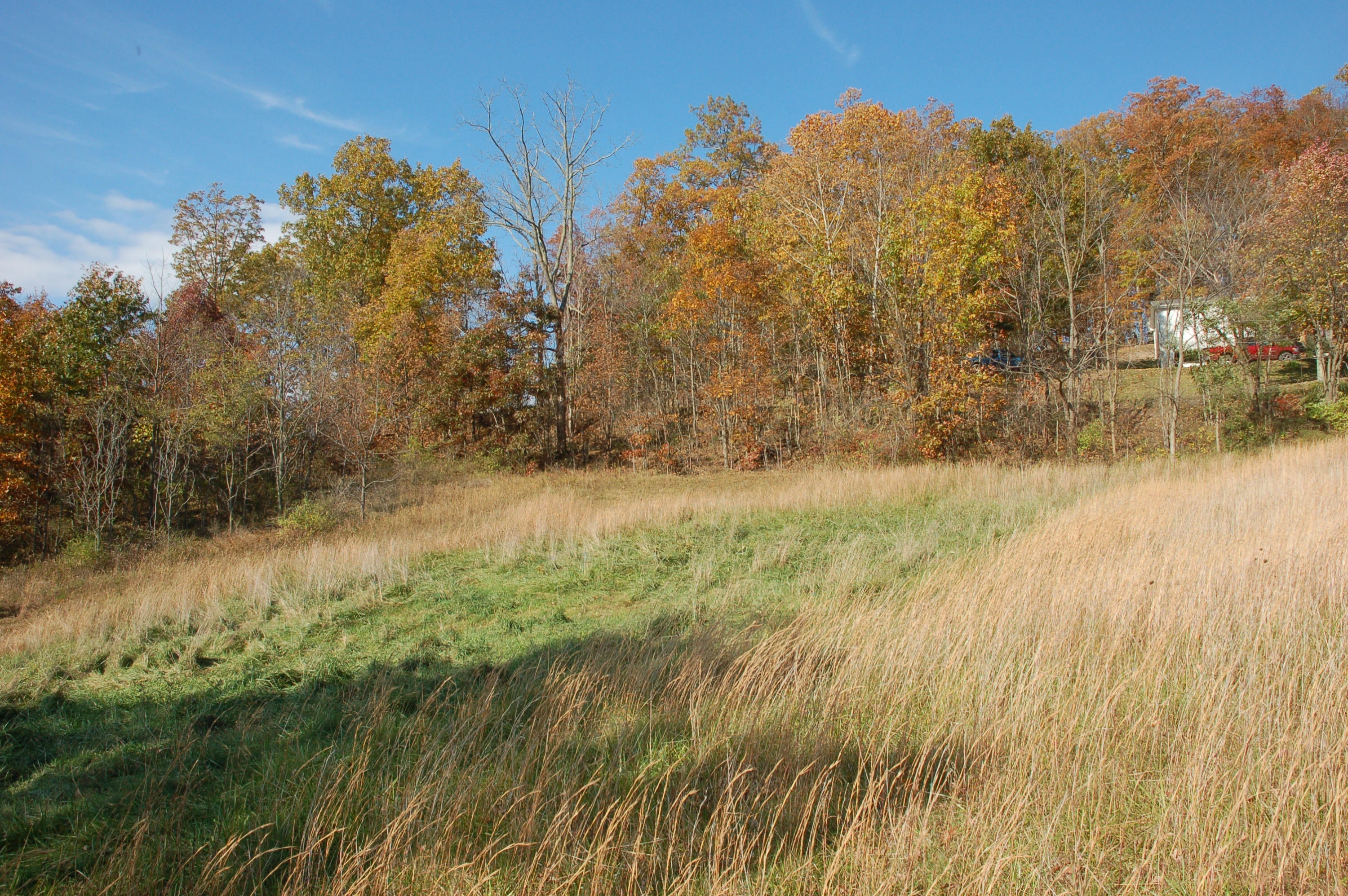 100 Charley Ballard Road Lindside, WV 24951 - Photo 14 of 16 Gallery Image 14