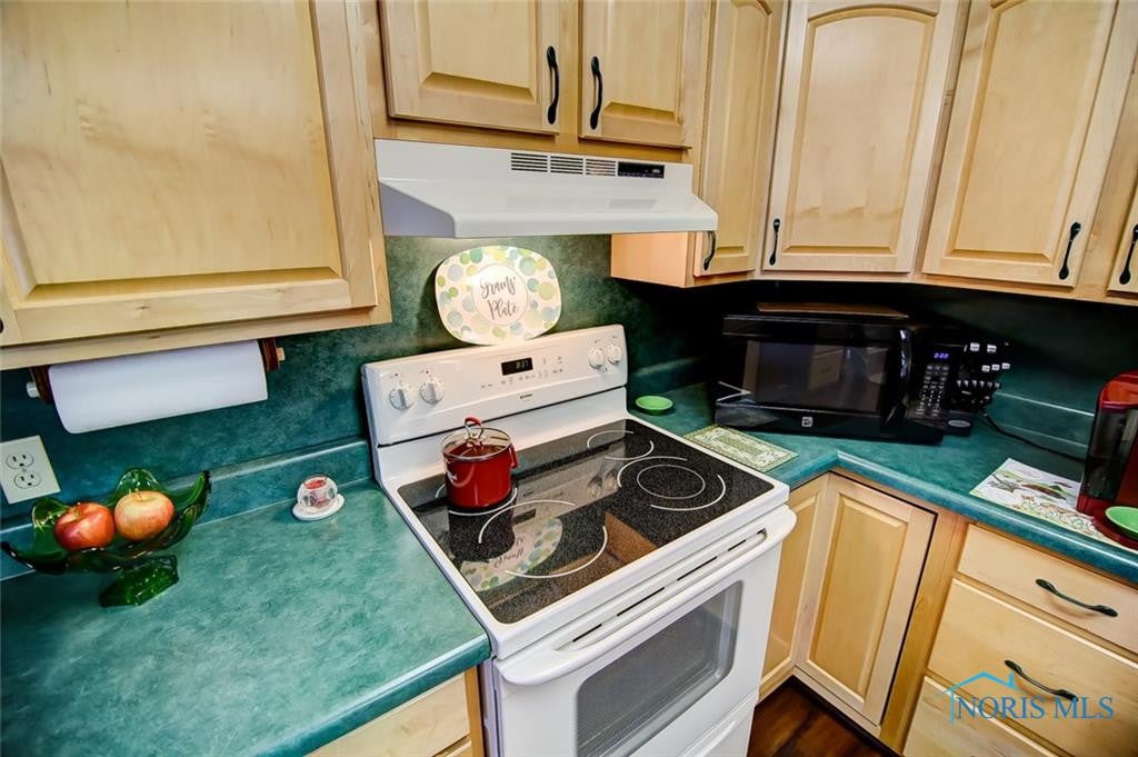 1423 Cass Road Maumee, OH 43537 - Photo 12 of 35 Updated stove and appliances - maple cabinetry