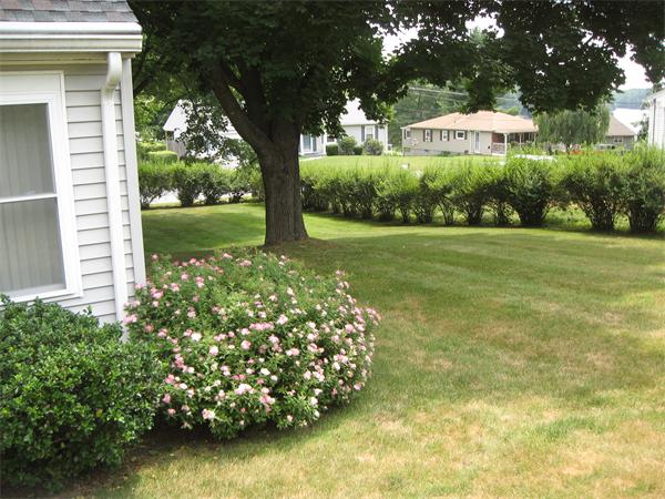 18 Sawmill Road Dudley, MA 01571 - Photo 2 of 29