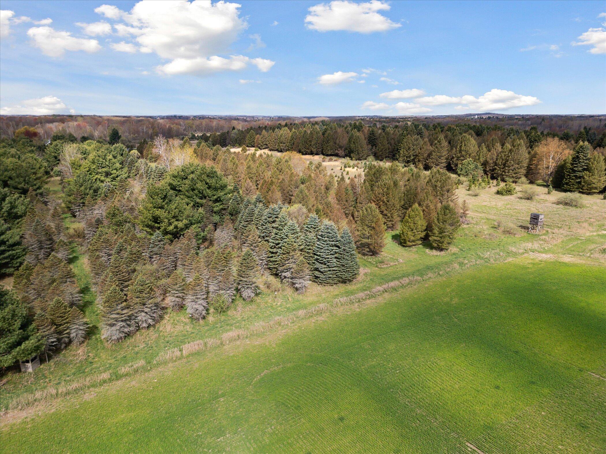 1366 Grow Road Northwest Stanton, MI 48888 - Photo 39 of 48 61-1366-Grow-Rd-NW-Stanton-MI-48888-Wind