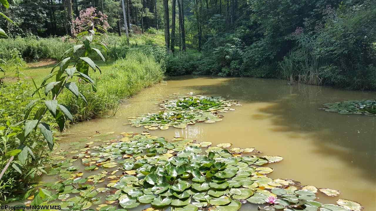 160 Old Sawmill Road Independence, WV 26374 - Photo 10 of 20 Gallery Image 10