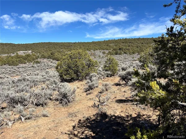 $25,000 | 0 Bull Elk Trail, San Luis, CO 81152