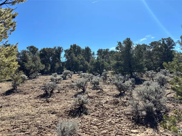$25,000 | 0 Bull Elk Trail, San Luis, CO 81152