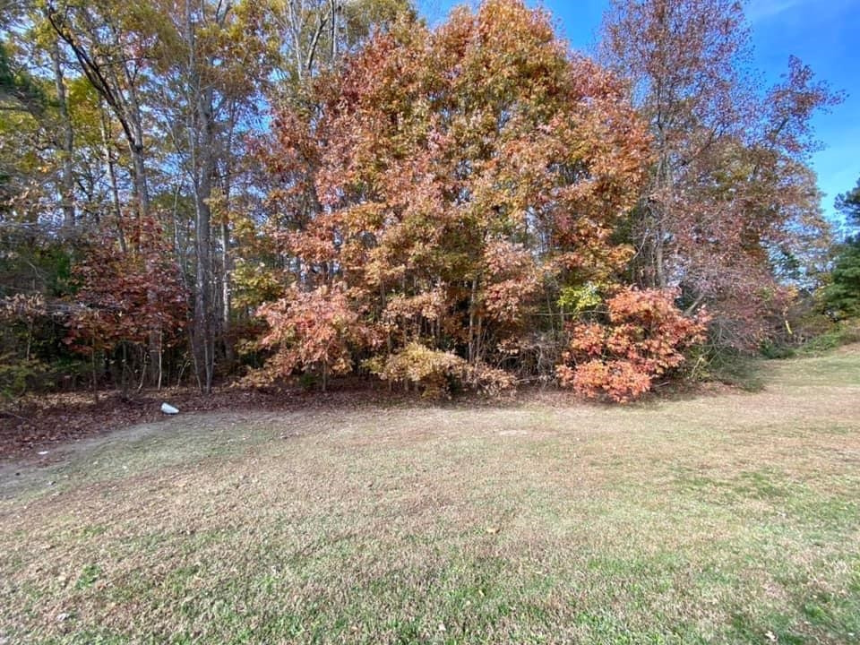 4511 Buffaloe Road Raleigh, NC 27616 - Photo 8 of 18 Photo 8
