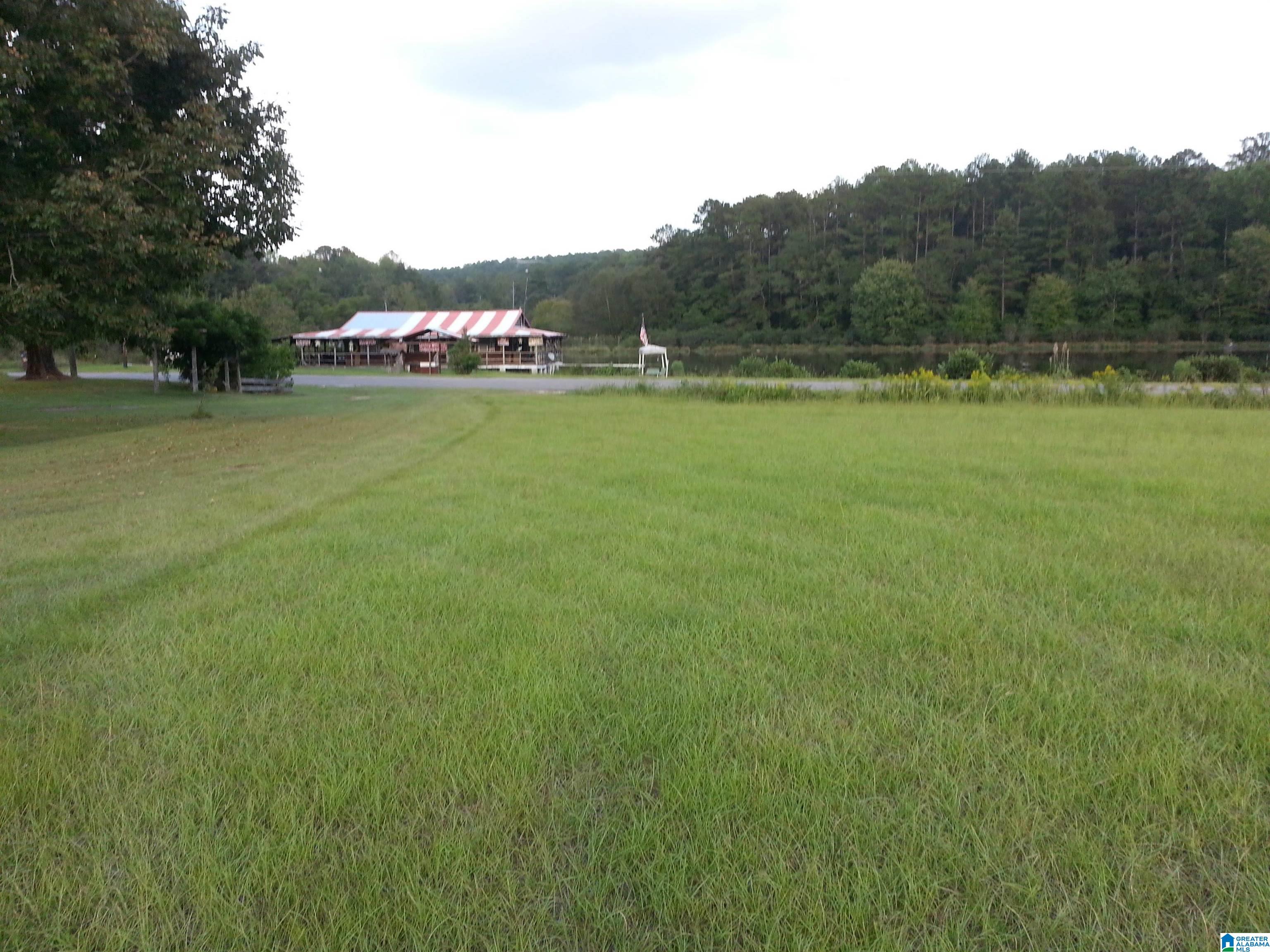 0 County Road 89 Fayette, AL 35555 - Photo 2 of 8