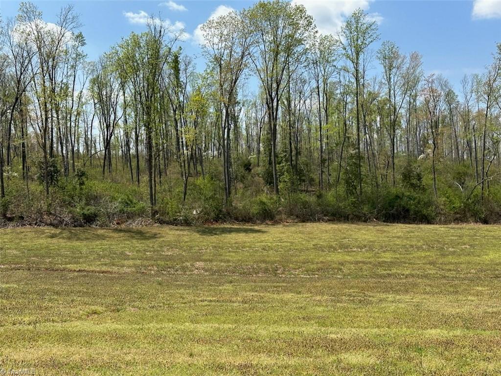 4 Gallimore Dairy Road Denton, NC 27239 - Photo 1 of 1 Gallery Image 1