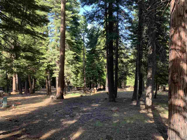 a view of road with trees
