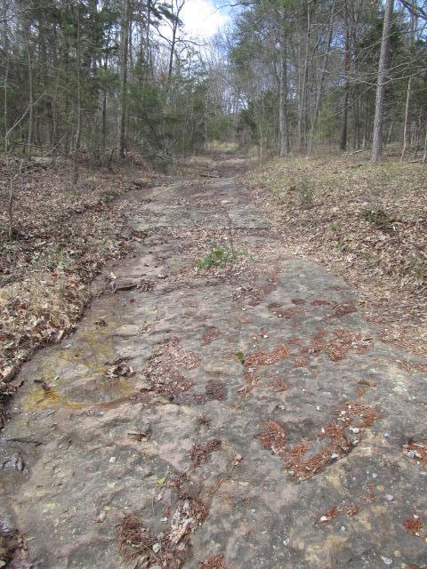 2938 Highland Springs Road Blaine, TN 37709 - Photo 22 of 33 IMG_2857