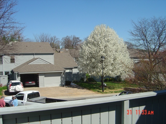 2407 Post Oak Road Salem, VA 24153 - Photo 8 of 9 View from deck