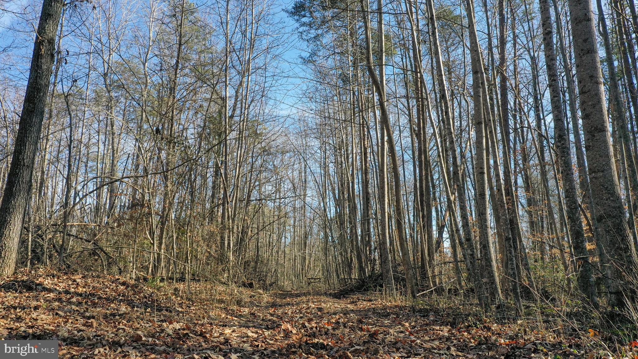 7706 Courthouse Road Spotsylvania, VA 22551 - Photo 3 of 12 Gallery Image 3