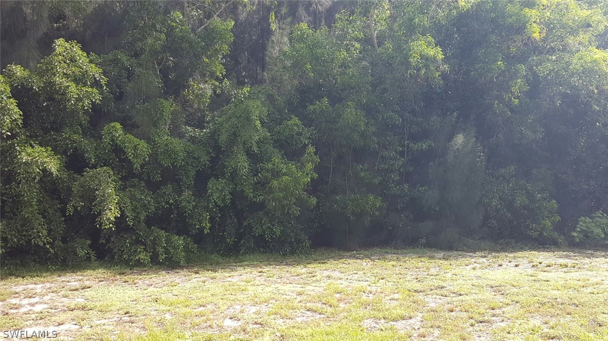 12240 Dolphin Road Bokeelia, FL 33922 - Photo 6 of 8 Gallery Image 6