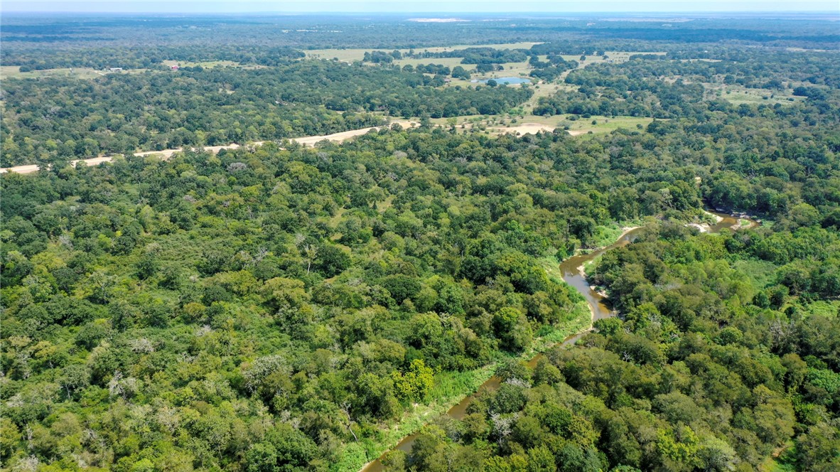Lot B Lot B Tbd Tonkaway Ridge Circle College Station, TX 77845 - Photo 10 of 11 Drone / aerial view of a forest