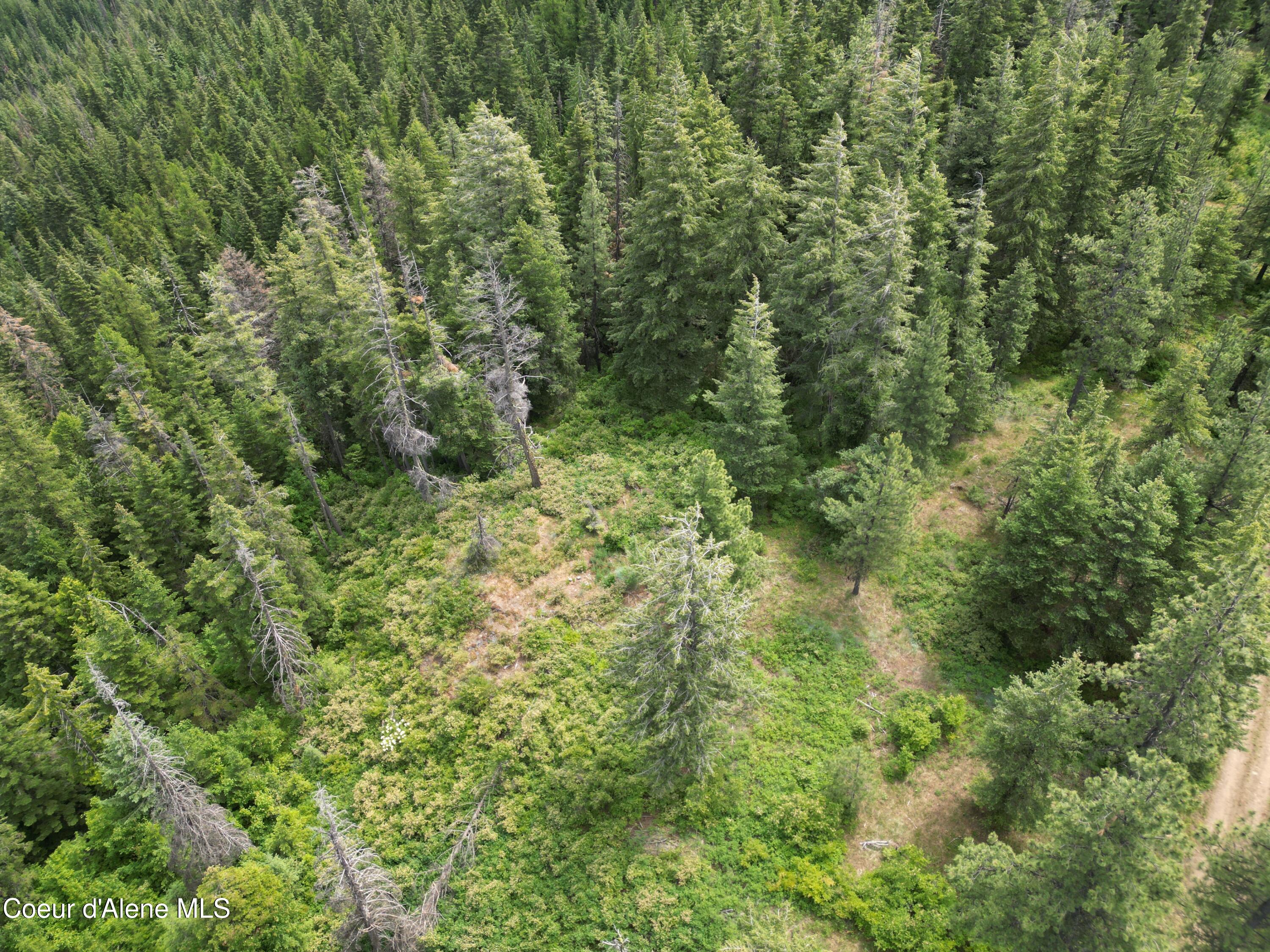 Nka Initial Peak Road Cataldo, ID 83810 - Photo 15 of 18 NKA Initial
