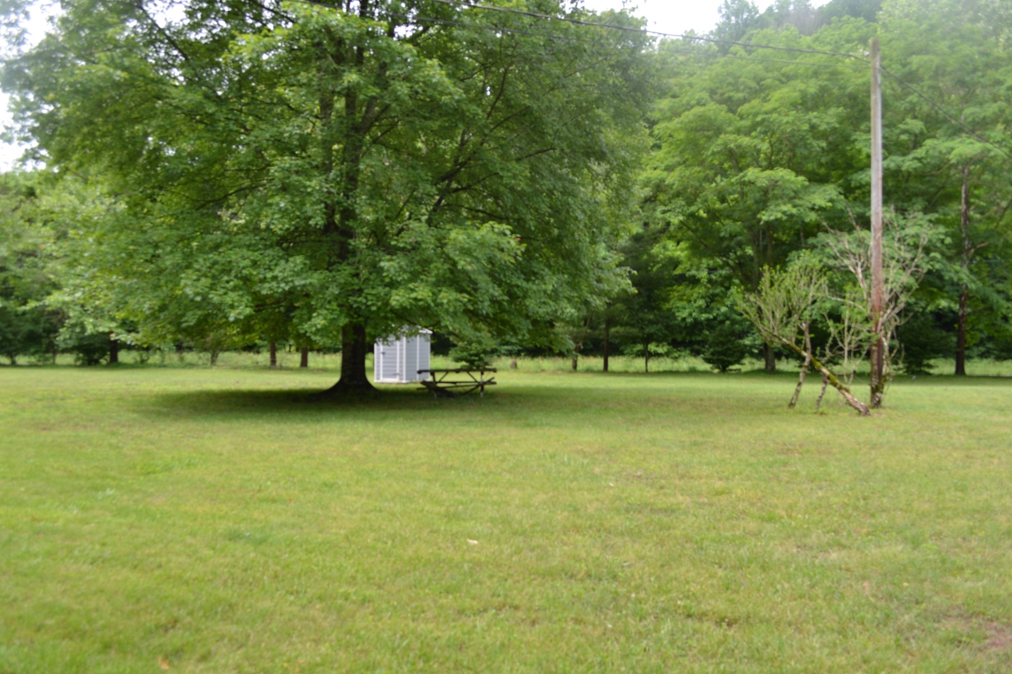 1505 Add Stafford Road Hilham, TN 38568 - Photo 44 of 65