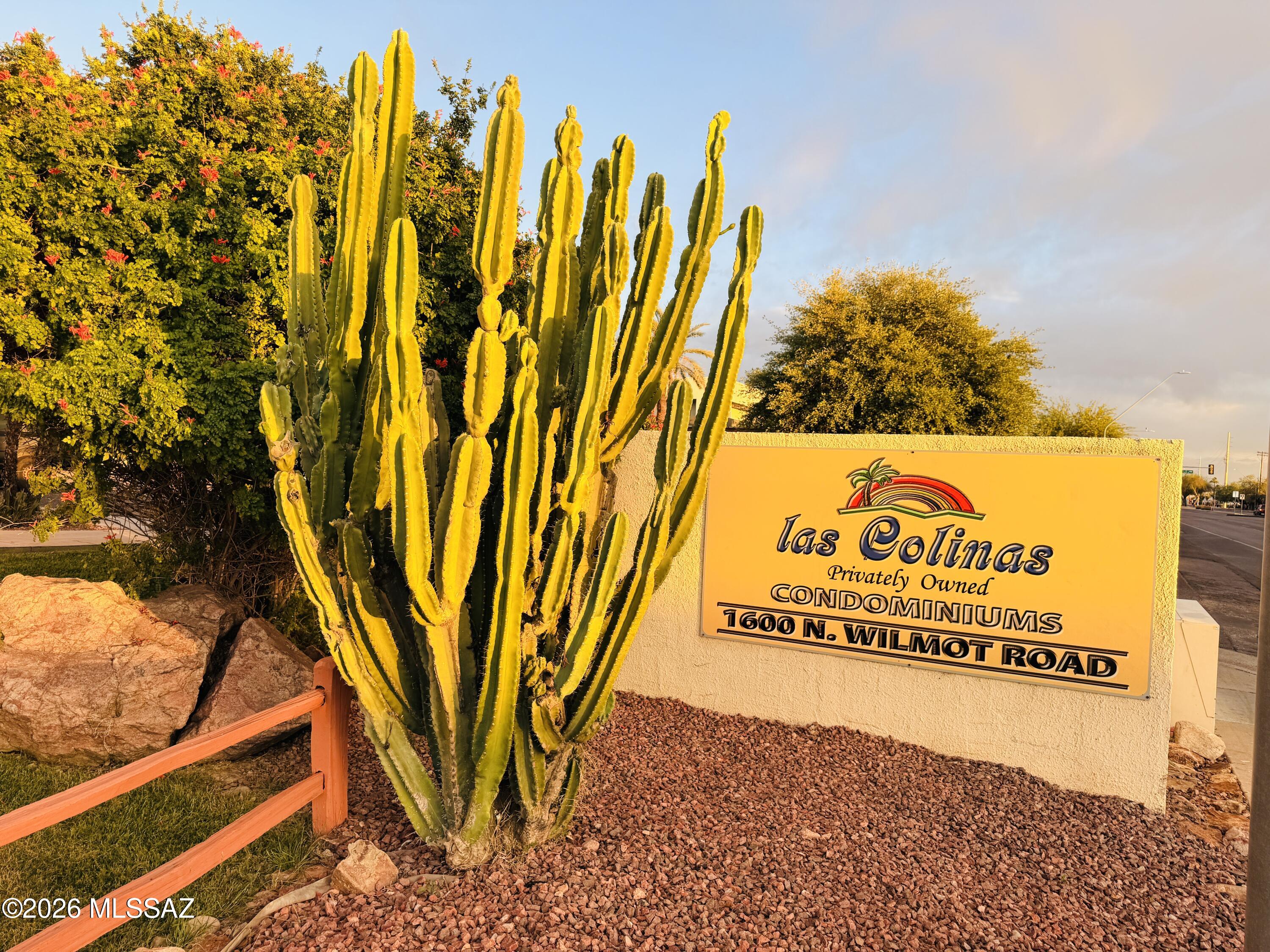 1600 North Wilmot Road, Unit 236 Tucson, AZ 85712 - Photo 31 of 31