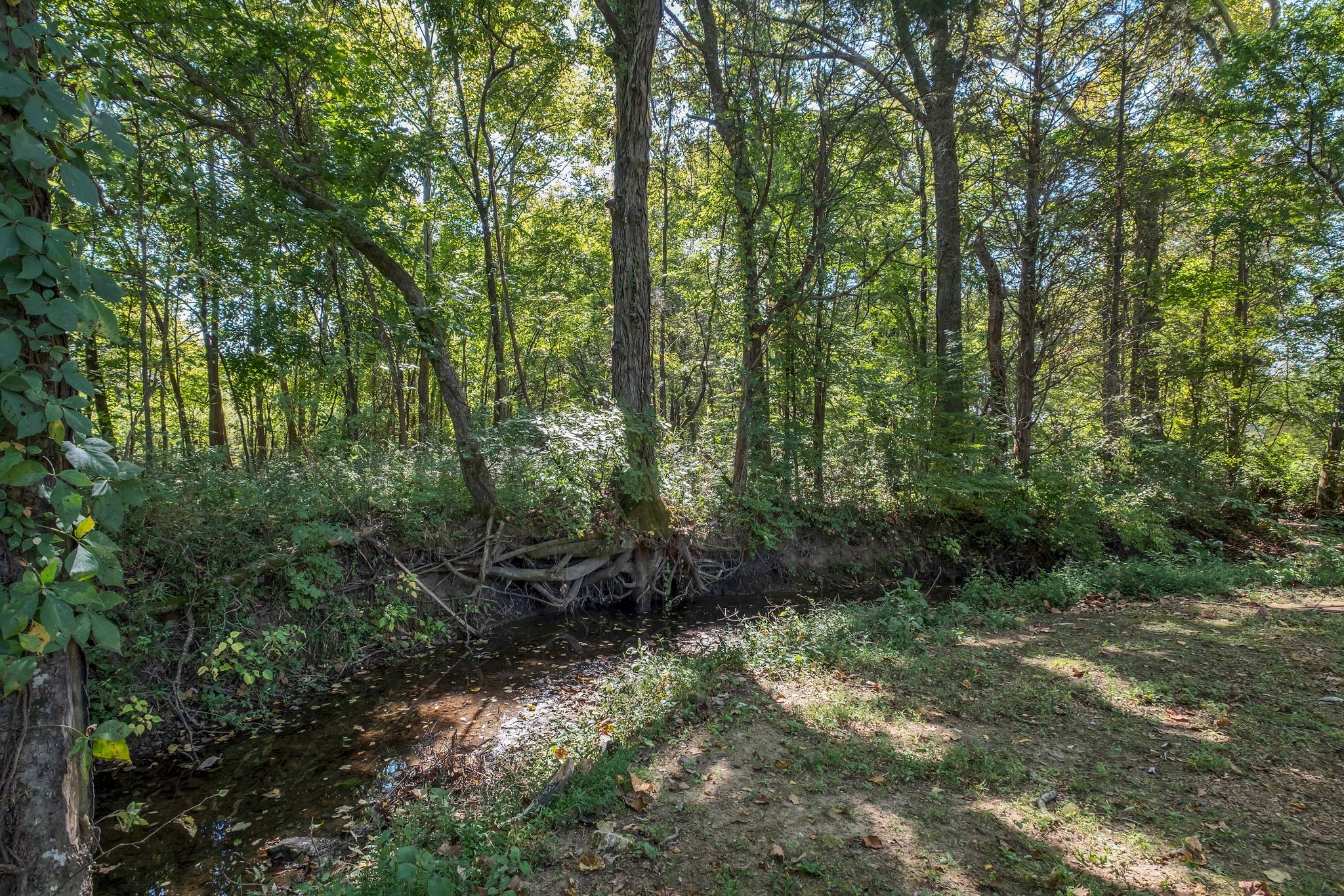 532 Windy Road Mount Juliet, TN 37122 - Photo 34 of 35 a view of outdoor space and green space