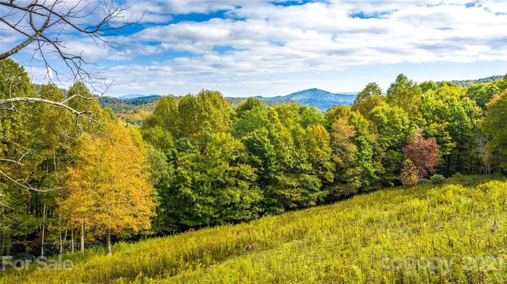 270 Mamie Cook Road Boone, NC 28607 - Photo 47 of 48 Gallery Image 47