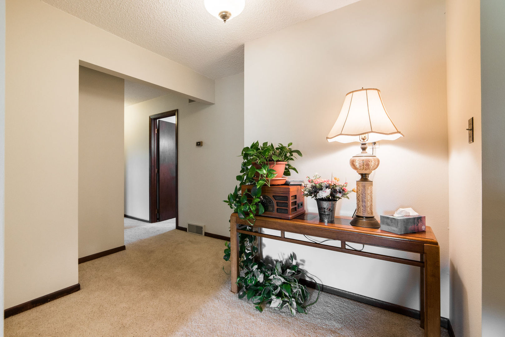16045 Whipple Road Sycamore, IL 60178 - Photo 22 of 60 a room with kitchen island and a potted plant
